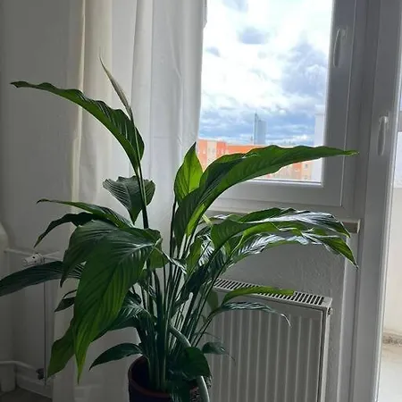 Apartment Gemuetlichkeit Mit Cityblick *