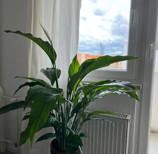 Apartamento Gemuetlichkeit Mit Cityblick *